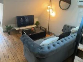 Le Loft, T2 duplex centre ville historique