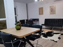 GREEN APARTMENT OSIJEK, self check in