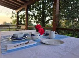 Il giardino di Anna