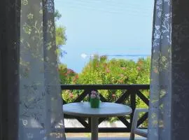 Seafront Apartment in Elia Beach