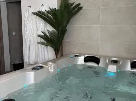 VENUS LOCATION - Loft climatisé avec Spa