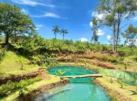 Fazenda Brotas SP