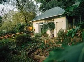 Tranquil Mountain Retreat Hout Bay Cottage