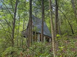 Fern Grove