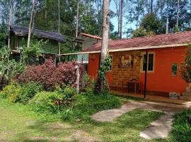 farmer homestay yercaud