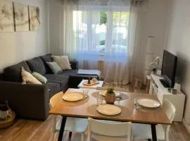 Appartement Cosy Mulhouse
