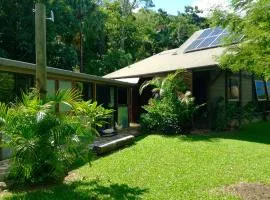 Butterfly Studio