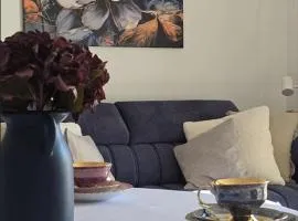 Apartamenty EverySky Kowary, Blue z windą