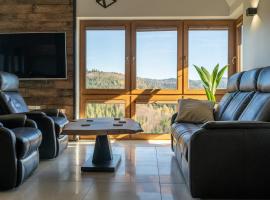 Górski Dom dla 30 osób z sauna oraz salą do integracji, villa en Kocierz Rychwałdzki