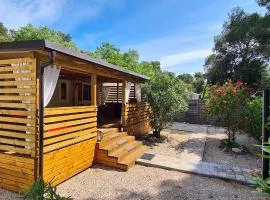 Blue Wave Mobile Home Two