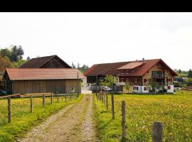 Ferienhof H&ouml;lzler, agriturismo a Scheidegg