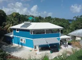 Villa blue lagoon T5 4 chambres vue mer, 100m plage, jacuzzi, espace jeu