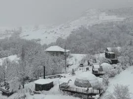 Dream Domes Glamping House