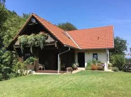 Schmuckes Geräumiges Haus mit Garten in Graz für bis zu 8 Gäste Ideal für Familien und Gruppen
