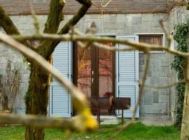 Quiet groundfloor garden apartment close to Milan - SMART WORKING, RELAX, BARBECUE, NETFLIX