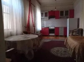 Mendeleev apartments