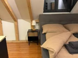 Modernes und helles Apartment VS