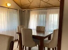 Ama Nest