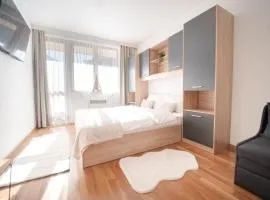 Pirin Sense Ap - SPA - FREE PARKING