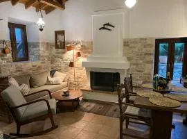 Panorama Traditional Village House