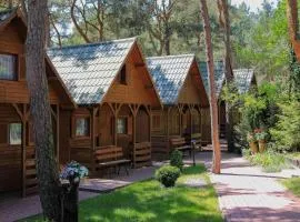 Cozy holiday cottages close to the beach, azy