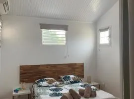 Chambre en appart Duplex chez l'habitant