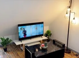 Le Loft, T2 duplex centre ville historique