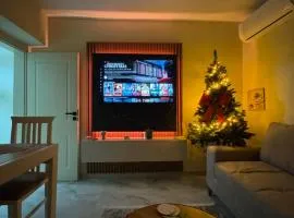 Downtown Deluxe Apartment