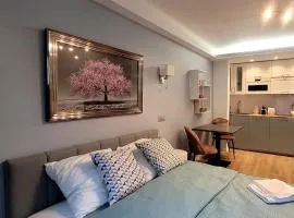 Cozy studio in the heart of Cannes