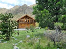 La Araucaria, hotel in Potrerillos