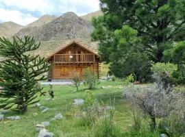 La Araucaria