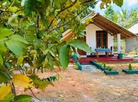 Little Haven Cottage
