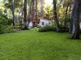 Villa Anty