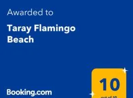 Taray Flamingo Beach