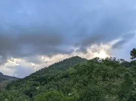 Rich Secret Rooms Ella