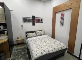 Stan na dan