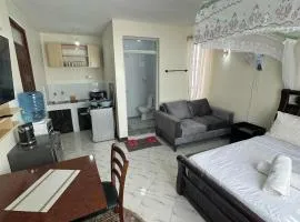 Ecostay Studio 304