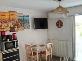 Balaruc studio avec piscine parking et climatisation