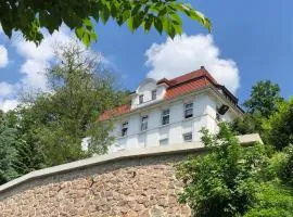 Ferienwohung in Dresden am Elbhang