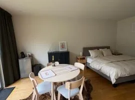 Cozy guestroom near city center