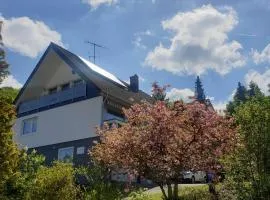 Ferienwohnung mit toller Aussicht