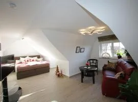 Apartment Kunsthaus Penthouse DG