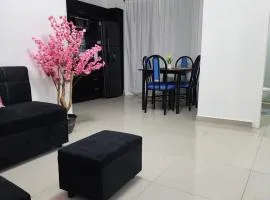 Casa Miami, Nueva San Miguel