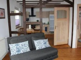 Apartment Angelina