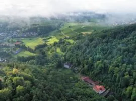 GASTHAUS Porzelt -Ferien im Weingut - Wohnung 2