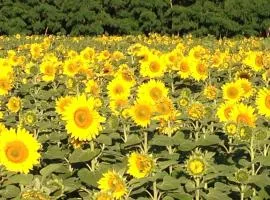 Spreewaldhof Schupan - Fewo Spreewaldsonne