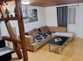 Cozy apartment