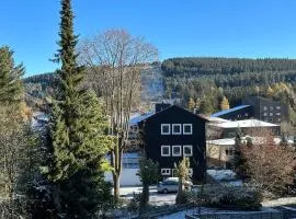 Bergluft
