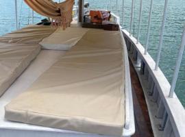 Escuna Costa Verde I para passeios durante o dia, hotel in Paraty