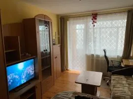 Minties apartment